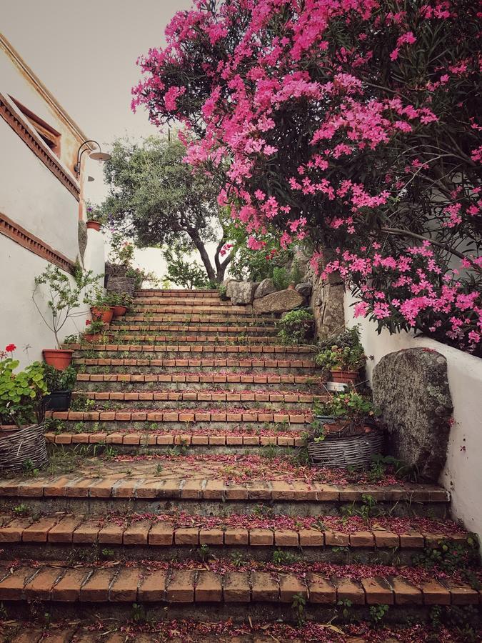 Locanda Tipica Sa Corte Oliena Exterior foto